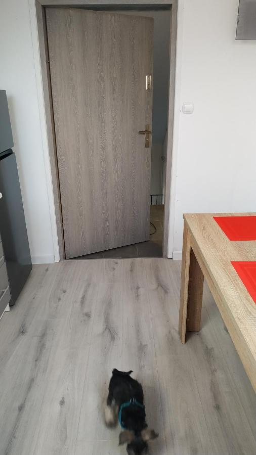 Apartament Witkacego Czerwony Słupsk Exteriör bild